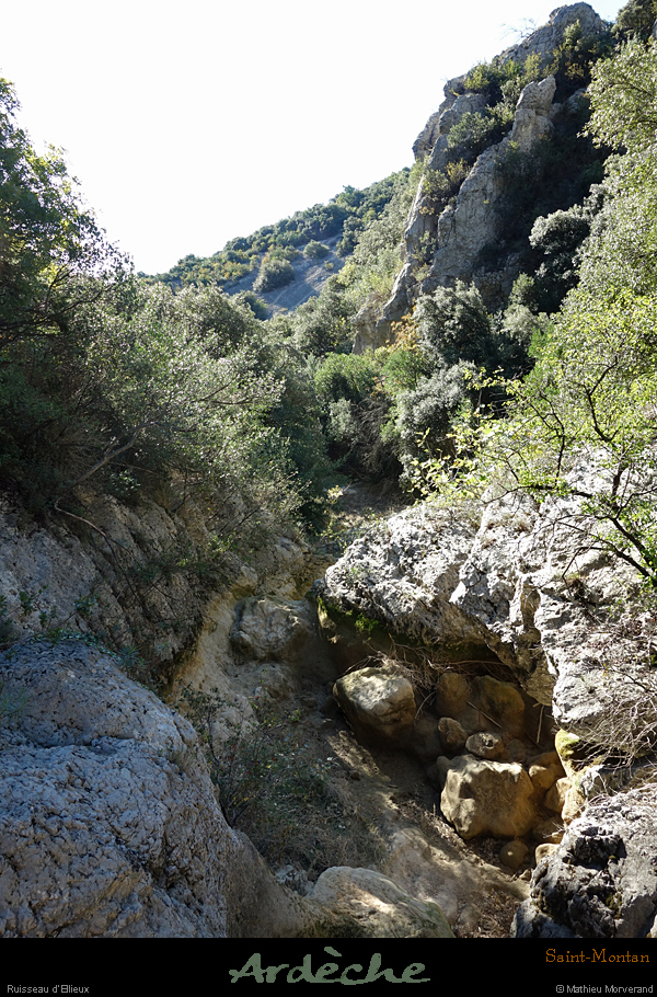 20211013_ellieux09