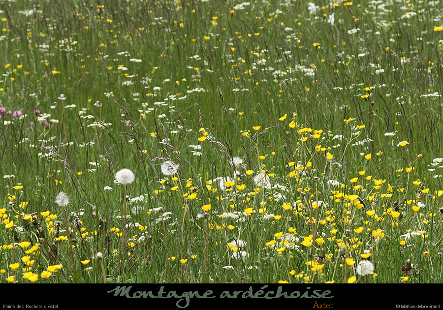 20120606_astet_plainedesrochersdastet2