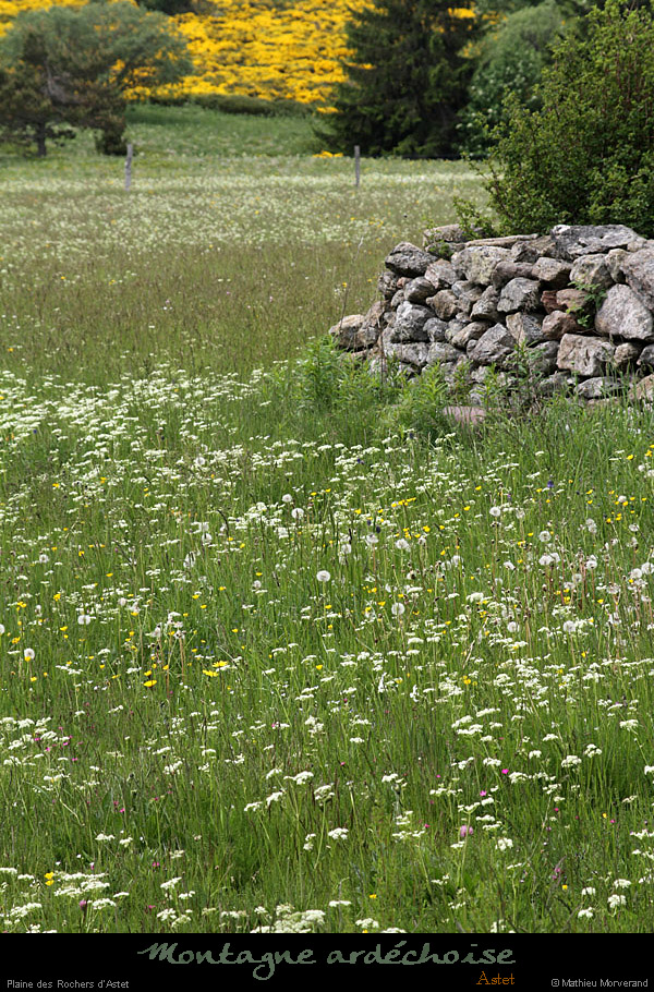 20120606_astet_plainedesrochersdastet3