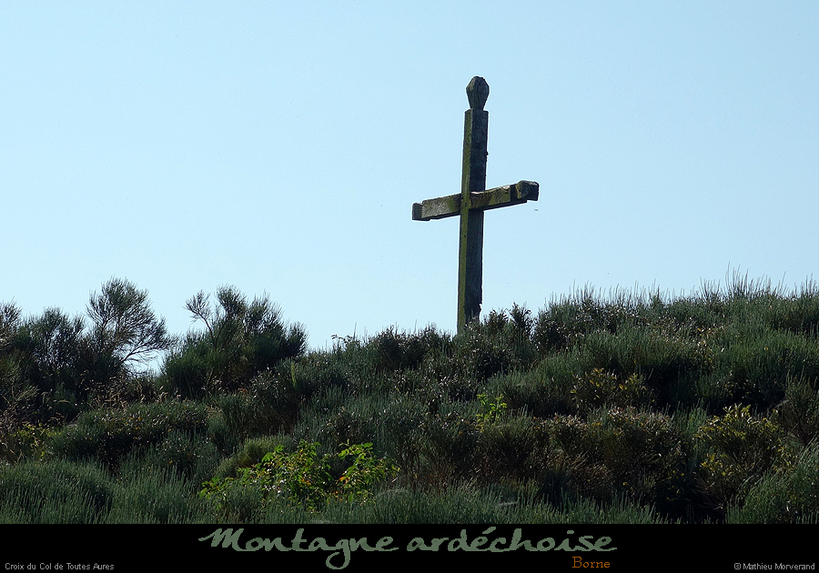 20210811_crxtoutesaures2