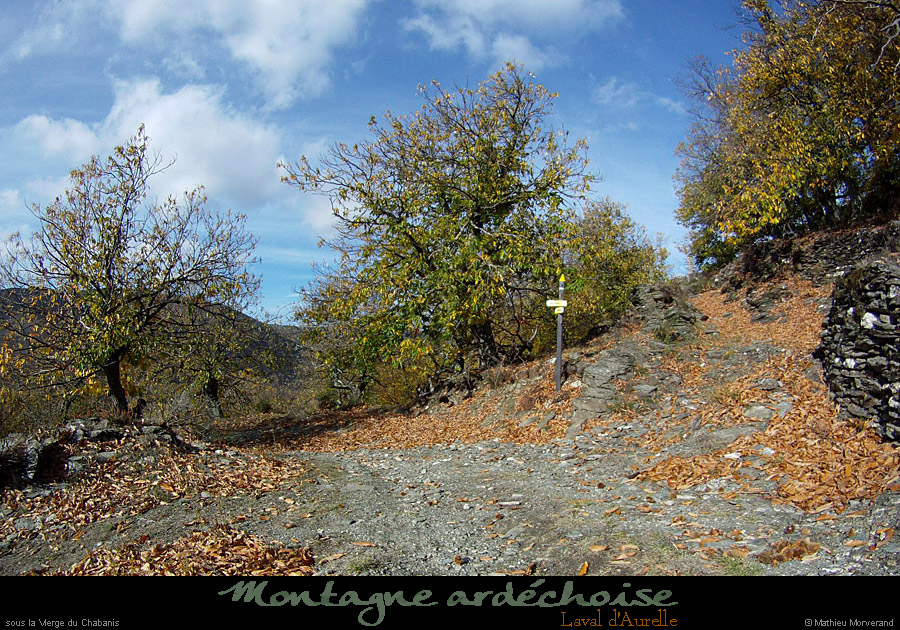 20111030_lavaldaurelle_ssviergeduchabanis