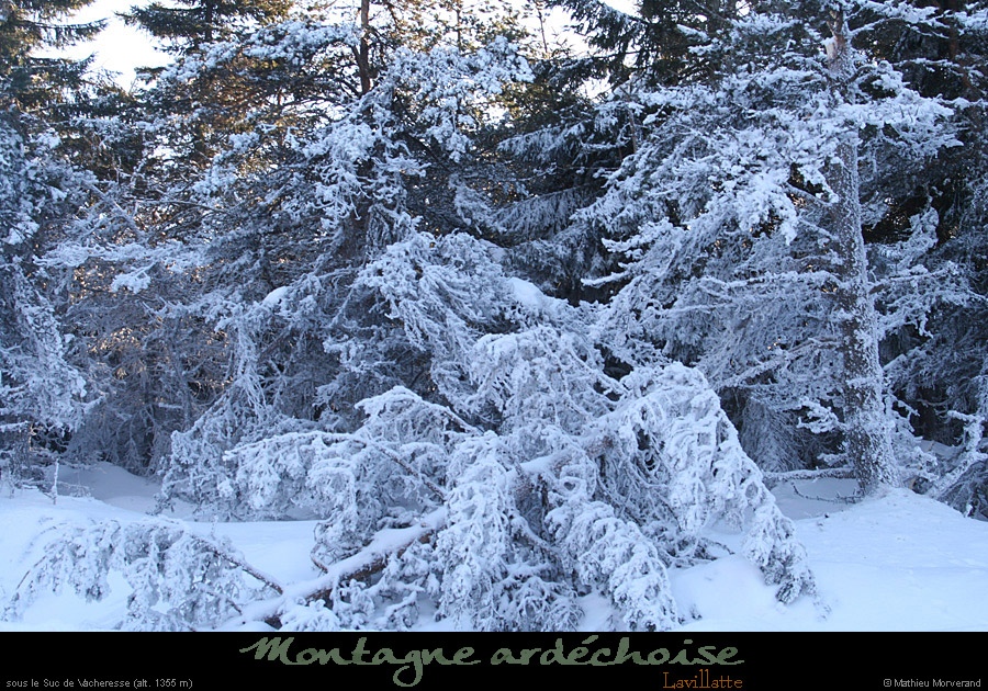 20090111_preslanarce1