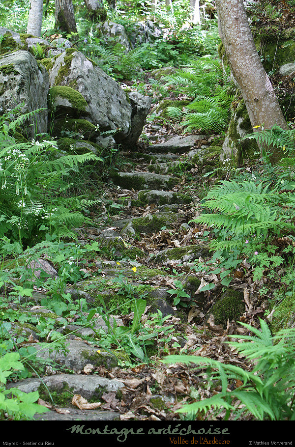 20140513_mayresvallonrieu04