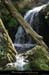 20140513_mayresruisseaunrieu3