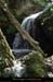 20140513_mayresruisseaunrieu5