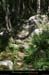 20140513_mayresvallonrieu03