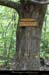 20140513_mayresvallonrieu05