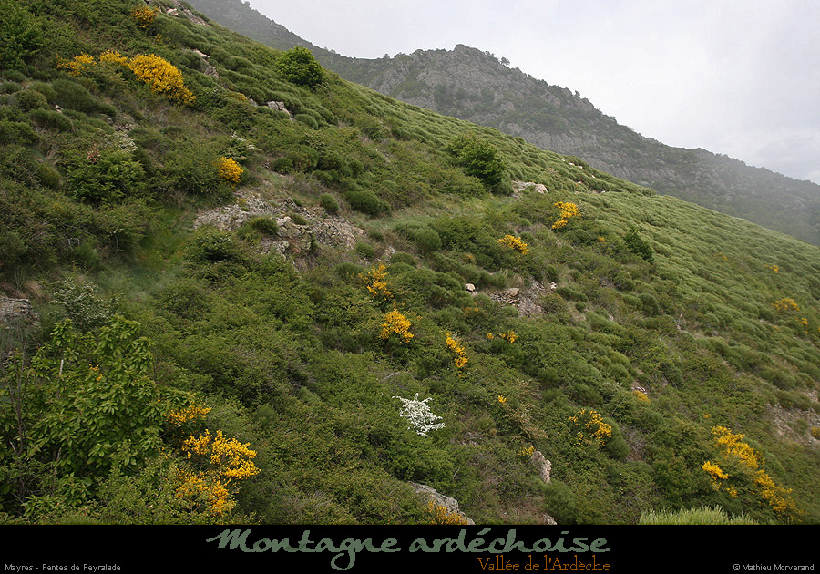 20140513_mayrespentespeyralade2