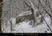 20041228_boisdepeyralade_ruine_1