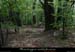 20140513_mayresboisspeyralade1