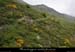 20140513_mayrespentespeyralade2