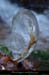 20030111_glacepresptdemalbos_1