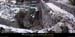 20030111_pontdemalbos_09