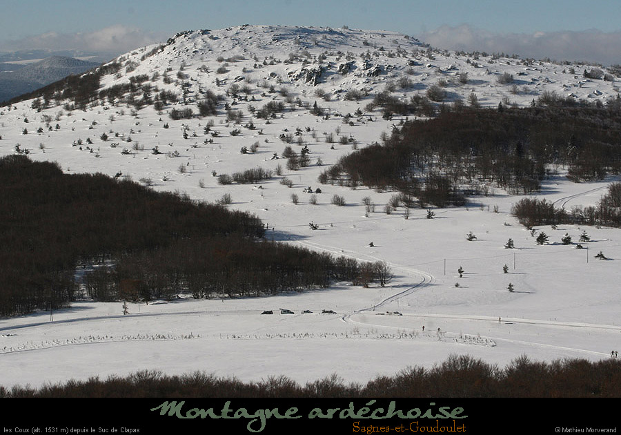 20100131_coux