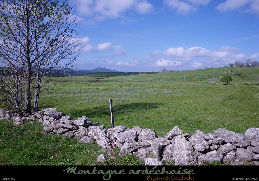 20100529_sagnes_suchasson