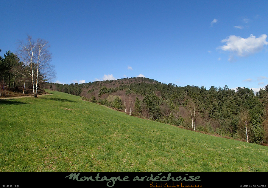 20150405_144