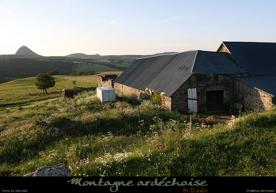 20090618_steulalie_fermevillevieille