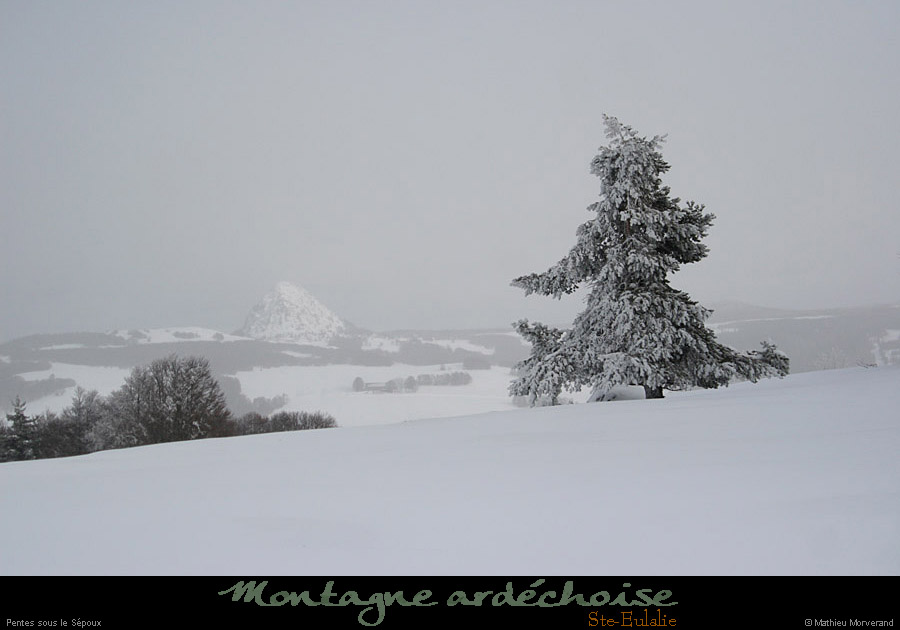 20100130sepouxpentesnordbois06