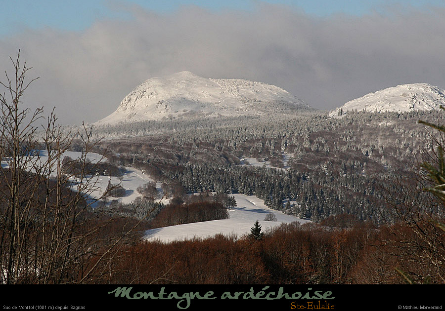 20100131_sucmontfoldesagnas
