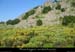 20090618_steulalie_sucdelalauziere