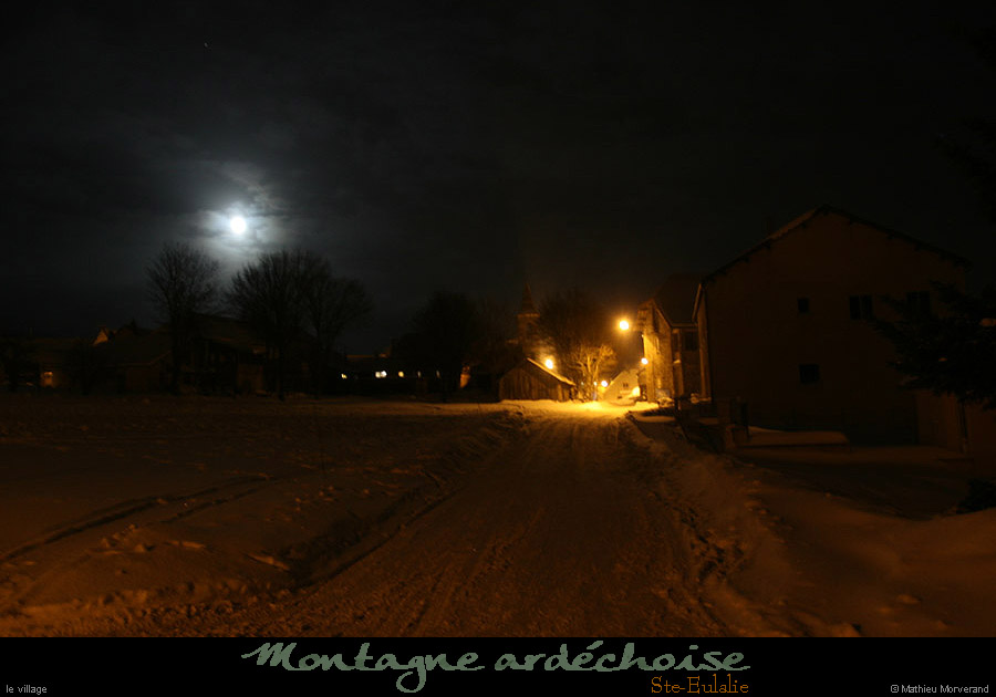 20100130_steulaliebynight01