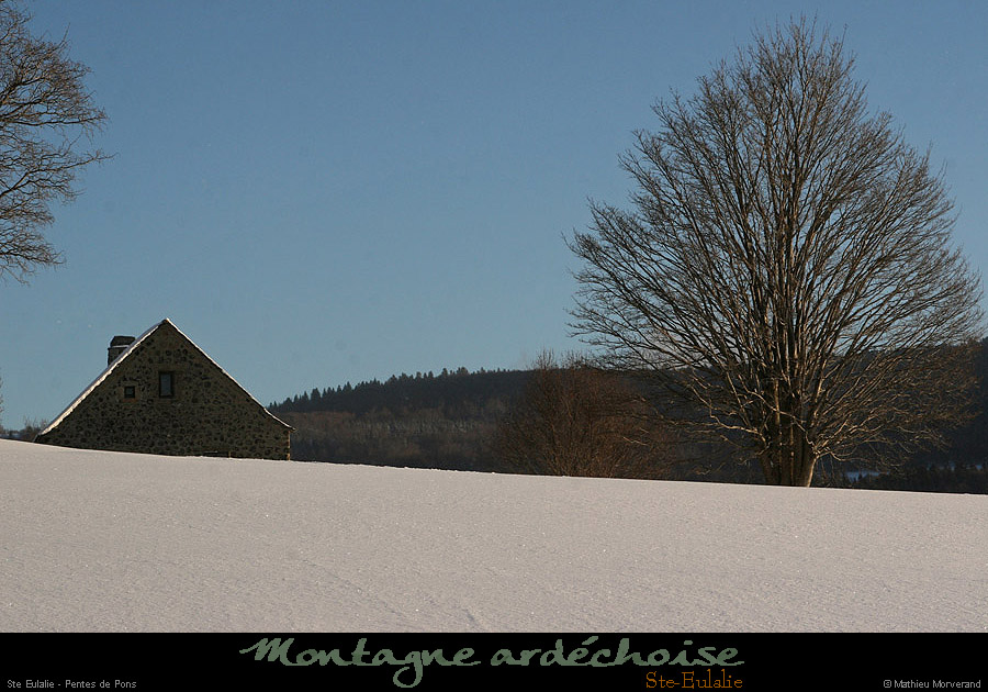 20100131_steulalie_pentesalest2