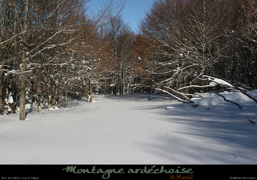 20100131_boisdesallieres02