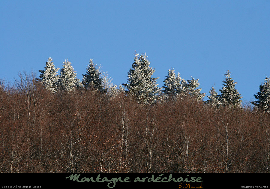 20100131_boisdesallieres04