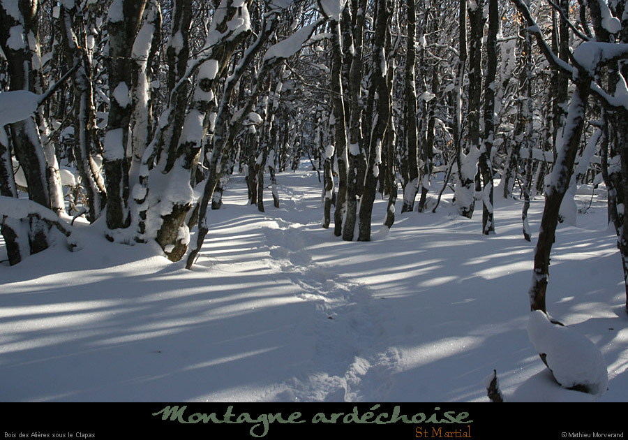 20100131_boisdesallieres10