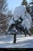 20100131_boisdesallieres01