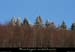 20100131_boisdesallieres04
