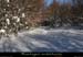 20100131_boisdesallieres06