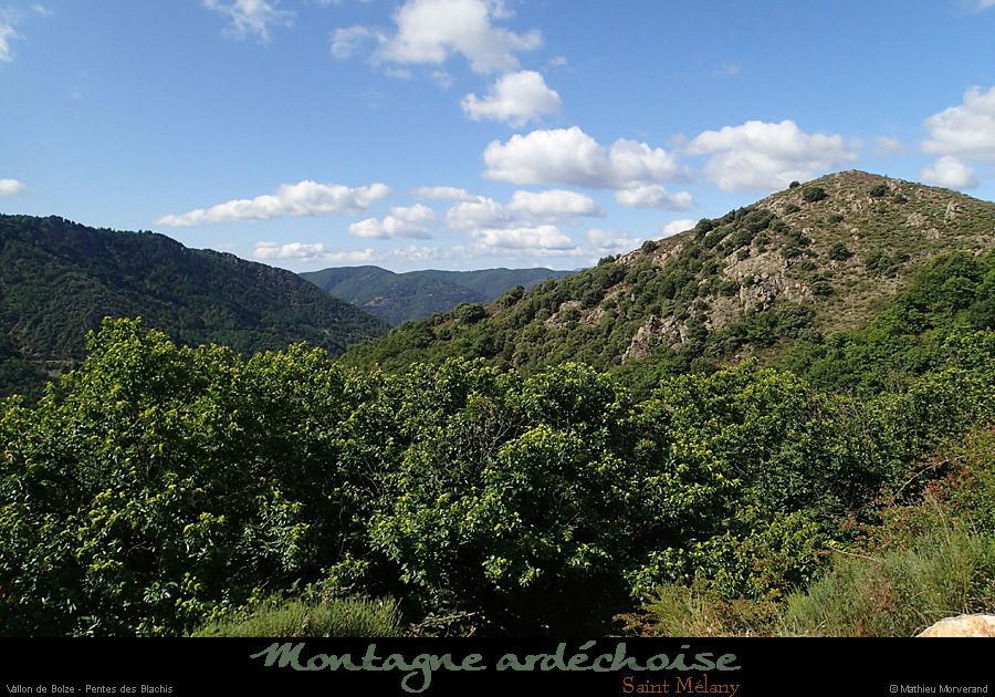 20140816_076