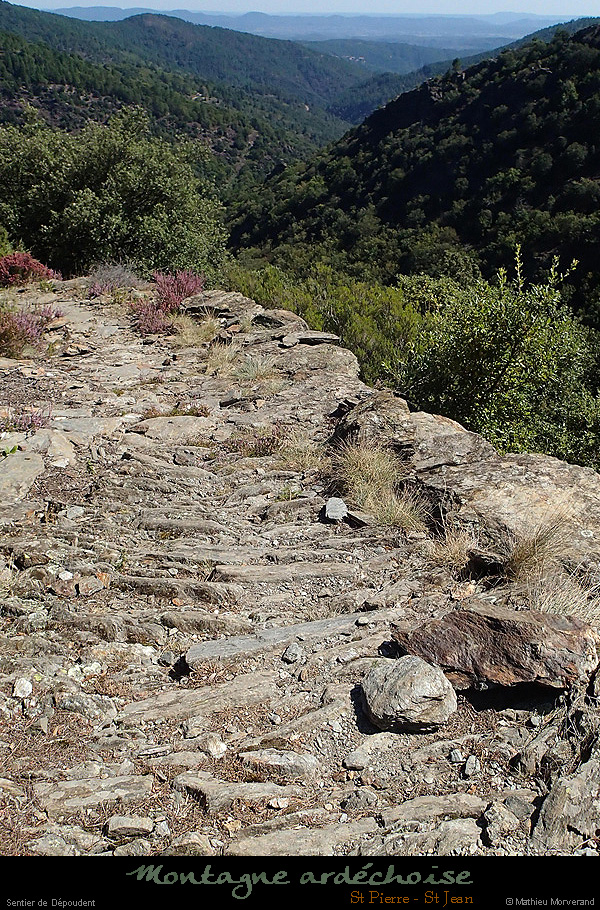 20140904_052