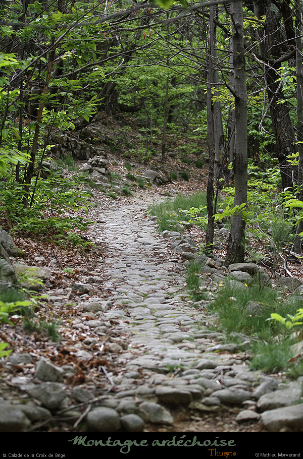 20130524_thueyts_sentiercaladedelacrxdebrige1