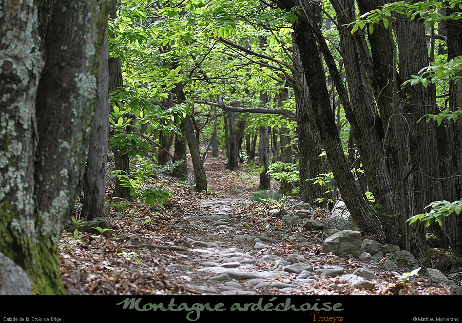 20130524_thueyts_sentiercaladedelacrxdebrige2