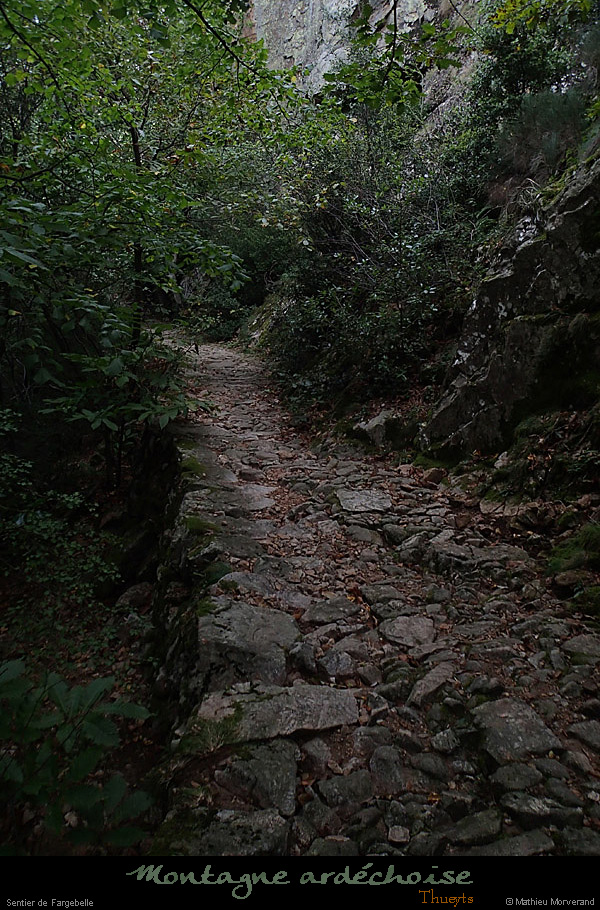 20140923vf163