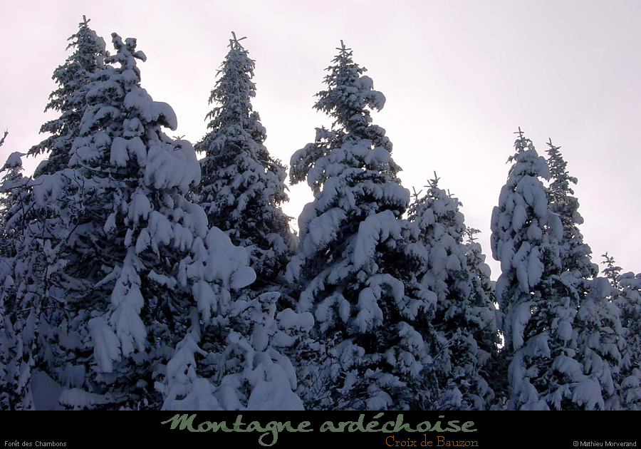 20010120_croixdebauzon_paysage_04