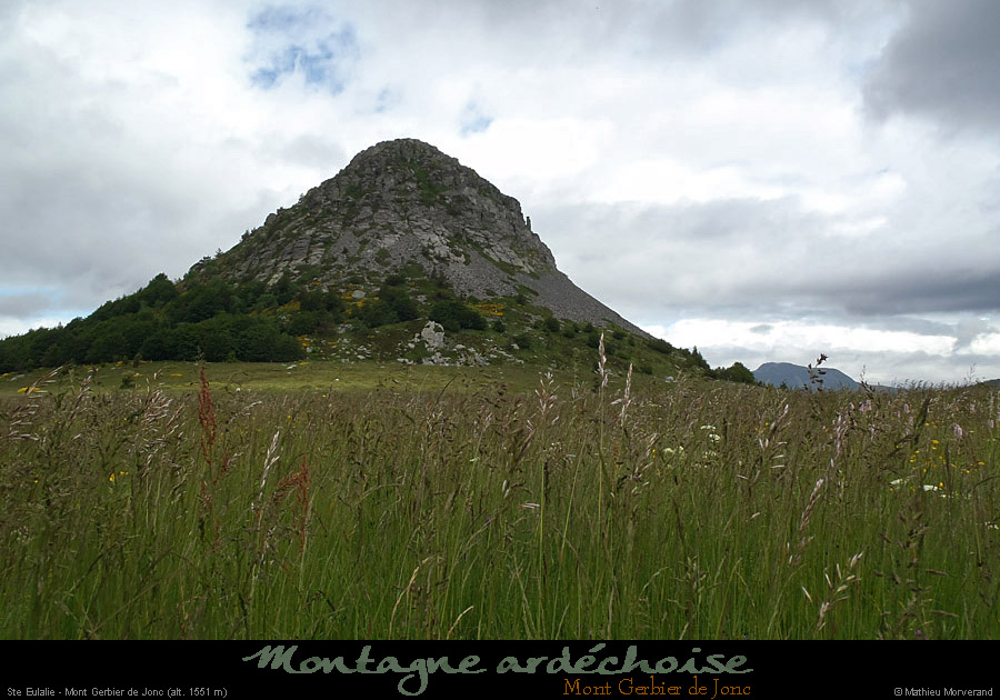 20120620_steulalie_gerbierdejoncparese1