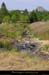 20030810_gerbierdejonc_1erconflentdelaloire_2