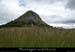 20120620_steulalie_gerbierdejoncparese1