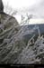 20041111_rocherd'abraham_facenord_gel_08
