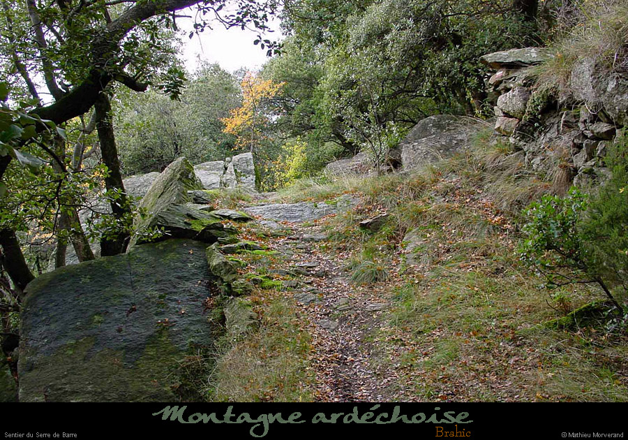20001104_serredebarre_sentier_1