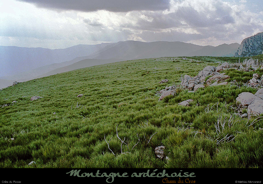 20000514_chamducrossommet_tanargue