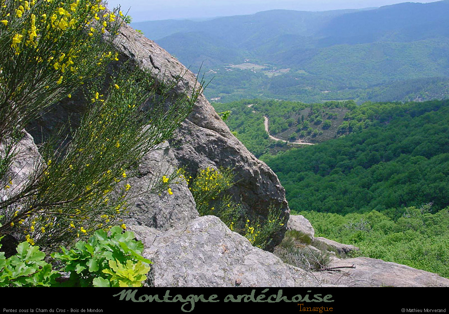 20010525_chamducros_03