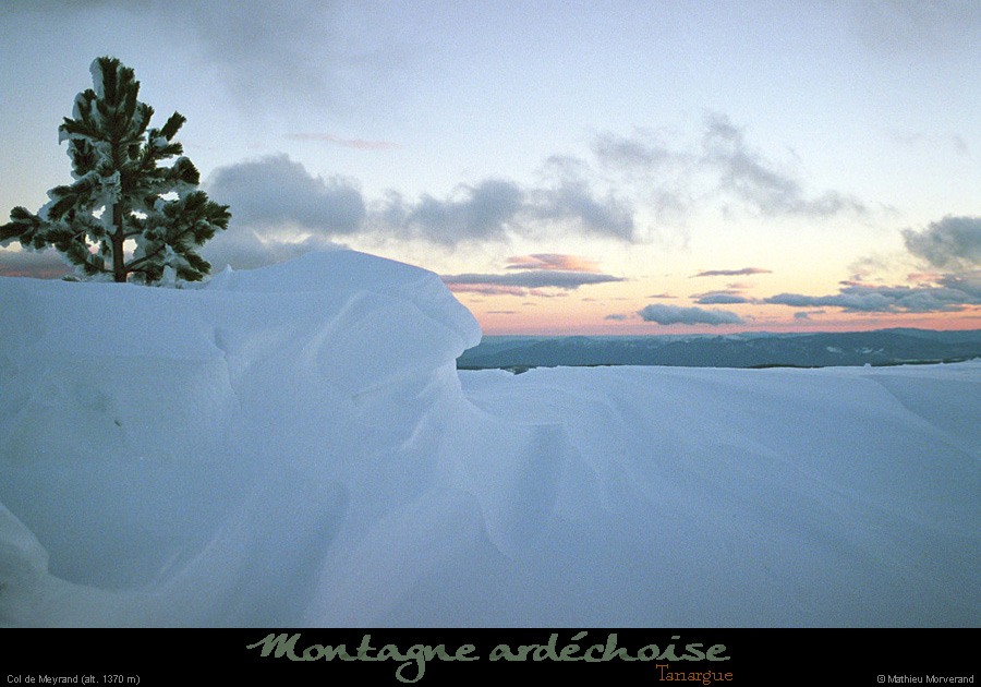 20010120_coldemeyrand_4