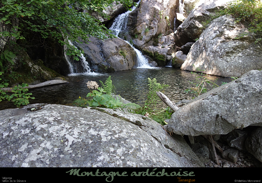20200725_denavebasse15