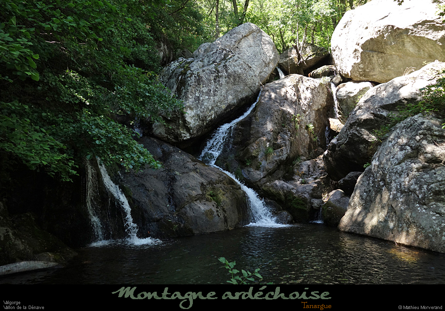 20200725_denavebasse16