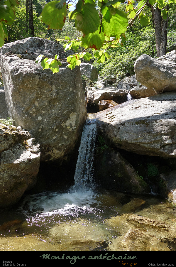 20200725_denavebasse21