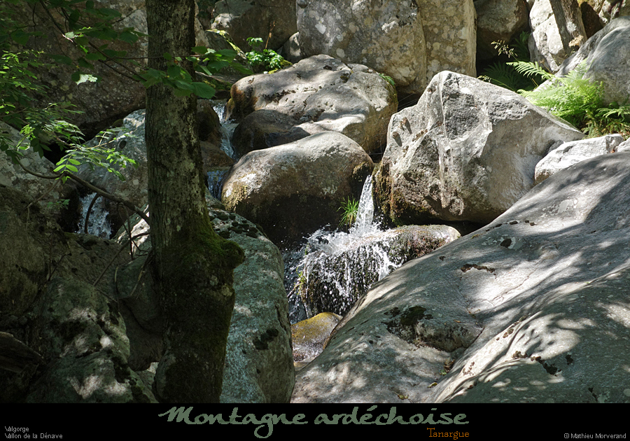20200725_denavebasse24